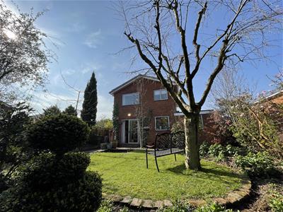 Picture 15